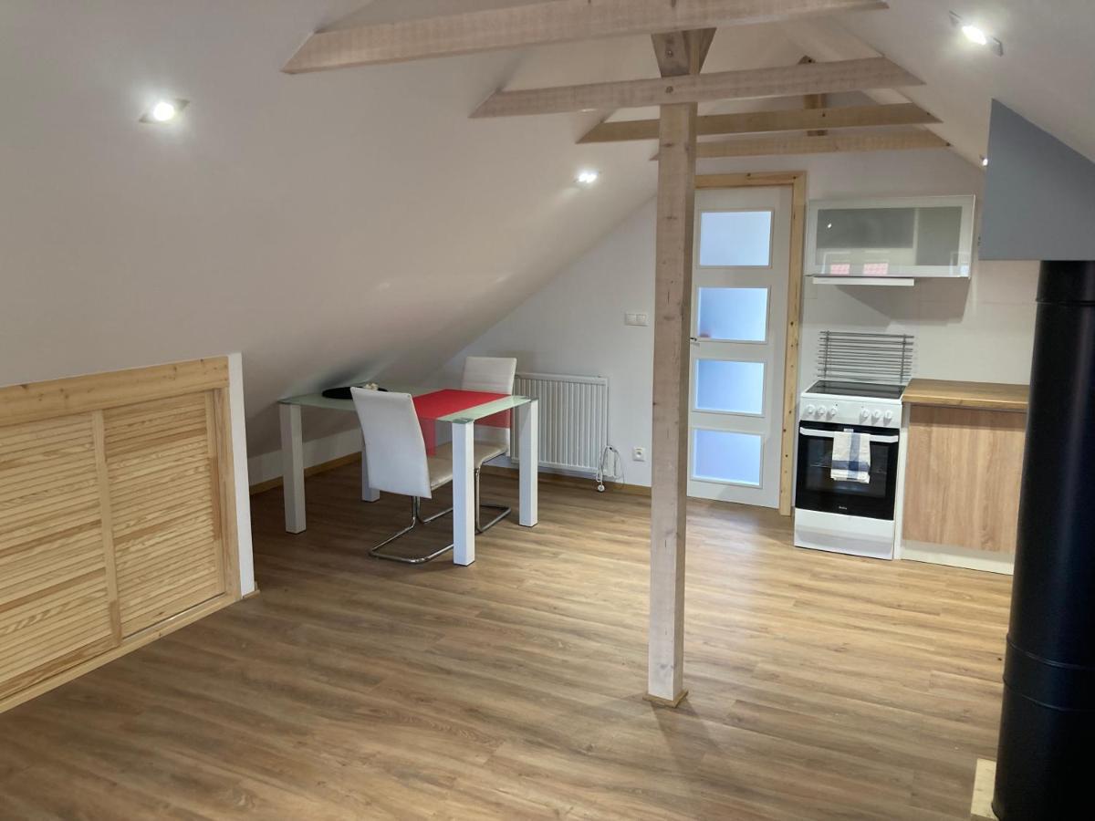 Dum U Lipky Apartman Světlá nad Sázavou Kültér fotó